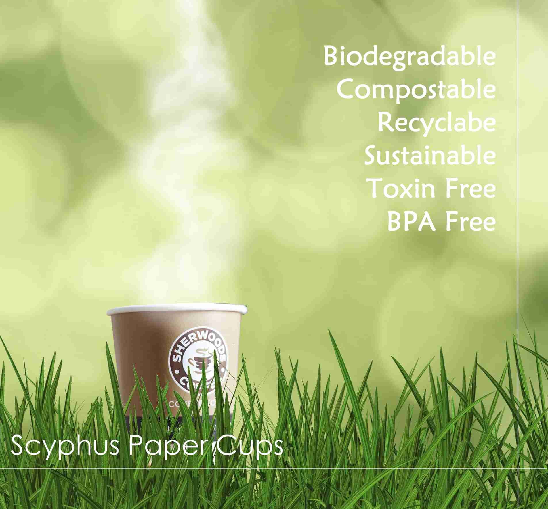 Home - Biodegradable Paper Cups